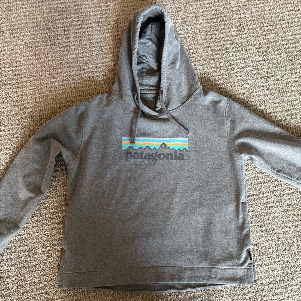 Patagonia hoodie